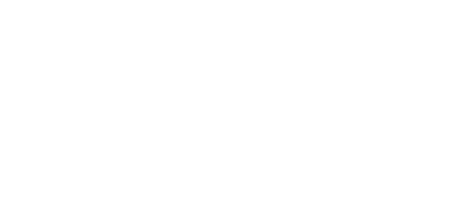 20%