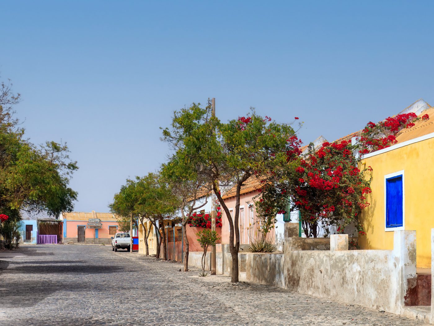 Beautiful streets of Sal Rei, Boa Vista, Cape Verde with colourful homes and treelined streets